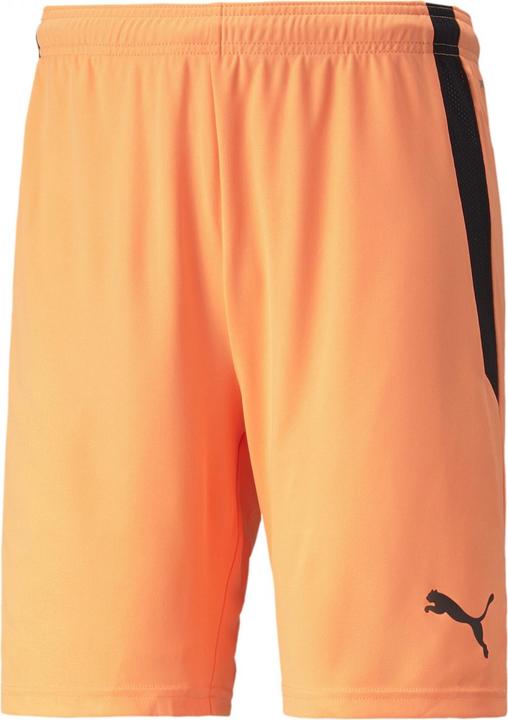 Actual product image Puma teamLIGA Shorts-704924 (L)