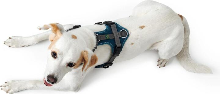 Produktbild Hunter Geschirr Maldon (XS, S, Hund, Allgemein)