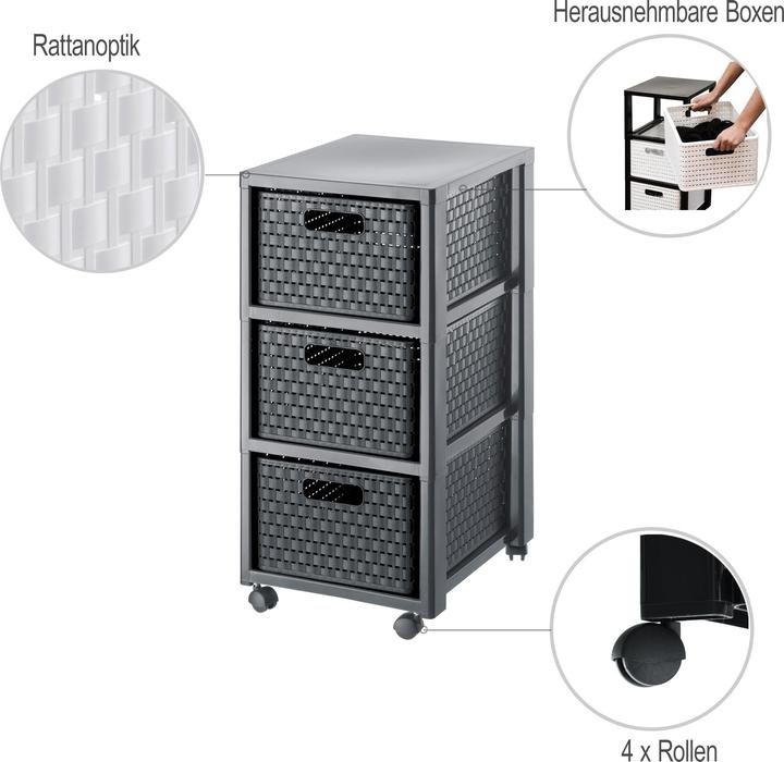 Image du produit Rotho Pays (32,5 x 37,5 x 71 cm)