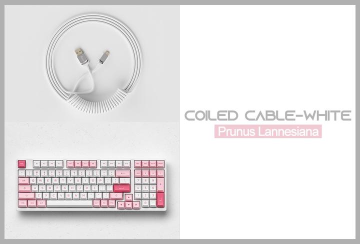 Actual product image Akko Coiled Cable