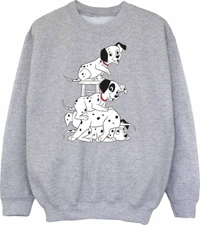Actual product image 101 Dalmatians Sweatshirt boys (140, 146)