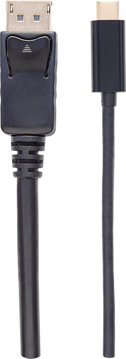 Actual product image Manhattan USB adapter (USB-C, 200 cm)