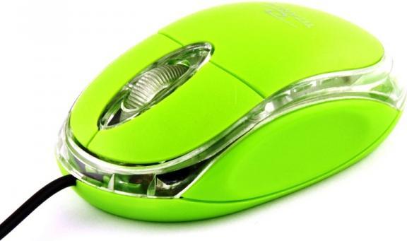 Vert