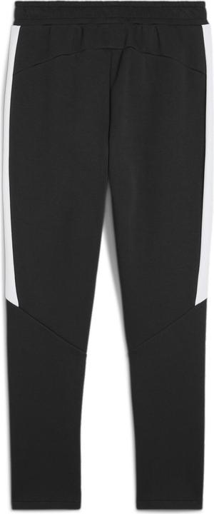 Image du produit Puma teamEVOSTRIPE Pants (L)