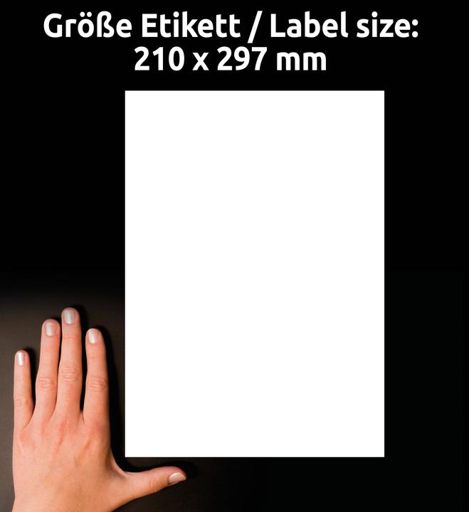 Image du produit Avery Étiquettes universelles