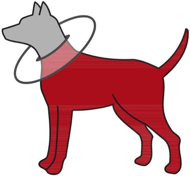 Immagine prodotto Trixie Katryna (Gatto, Cane)