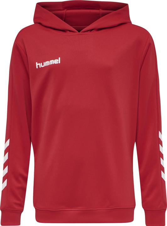 Image du produit hummel Promo Kids Poly Hoodie (176)
