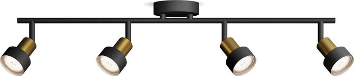 Actual product image Philips Conduit (GU10)