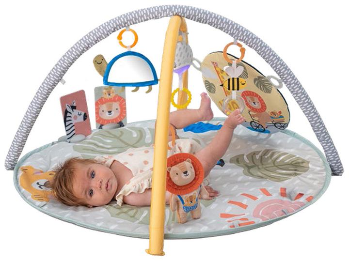 Image du produit Taf Toys Savannah
