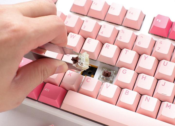Image du produit Ducky Clavier de jeu One 3 Gossamer TKL rose - MX-Brown (US) (US, Filaire)