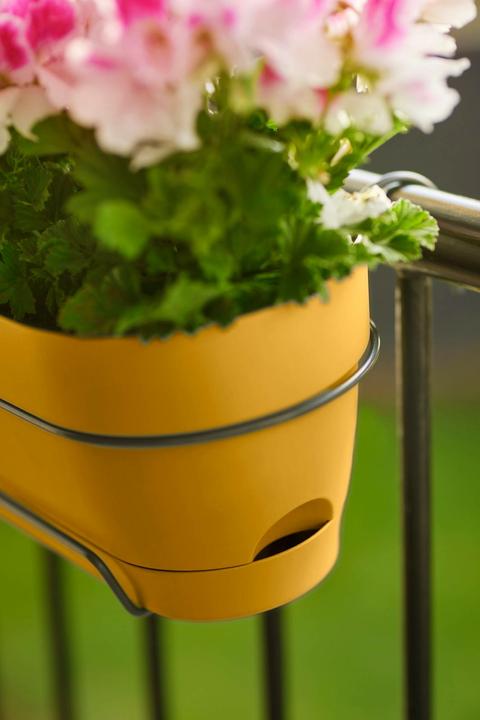Actual product image Elho Vibia Campana Balcony Box Allin1 (26 cm)