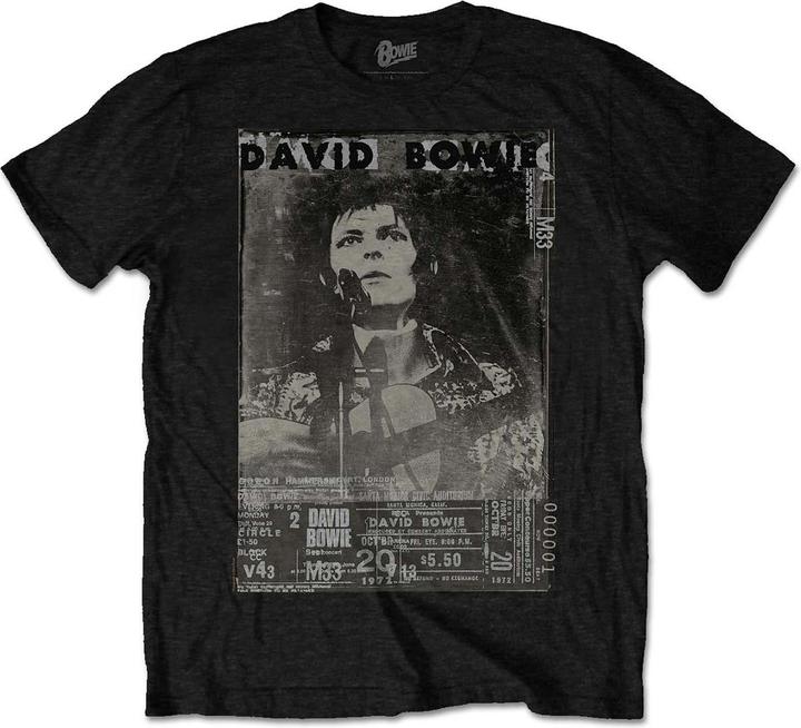 David Bowie Ziggy