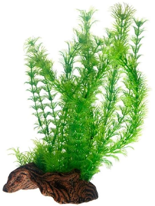 Produktbild Hobby Kunstpflanze Flora Root 3, L, 30 cm (Pflanzen, Pflanzen)