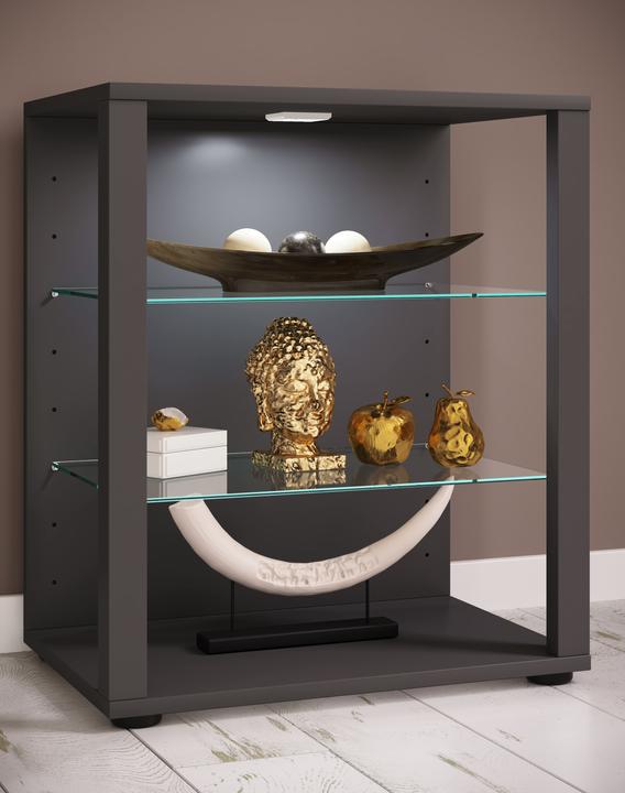 Produktbild VCM Holz Glas Vitrine Sammelvitrine Glasvitrine Schaukasten Standvitrine Glasol S (52 x 35 x 60 cm)