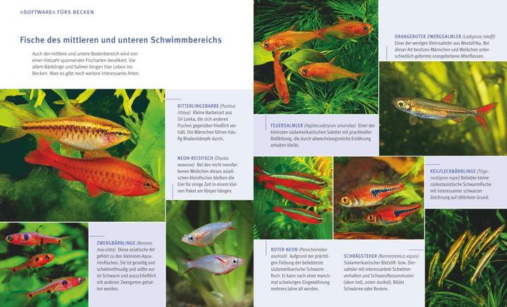 Produktbild Aquarien - Spass für Kinder (Aquarium Pflanzenpflege)