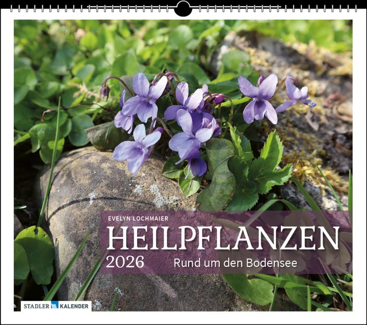 Produktbild Heilpflanzen rund um den Bodensee 2026 (Deutsch)