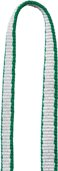 Actual product image Petzl St'Anneau tape loop