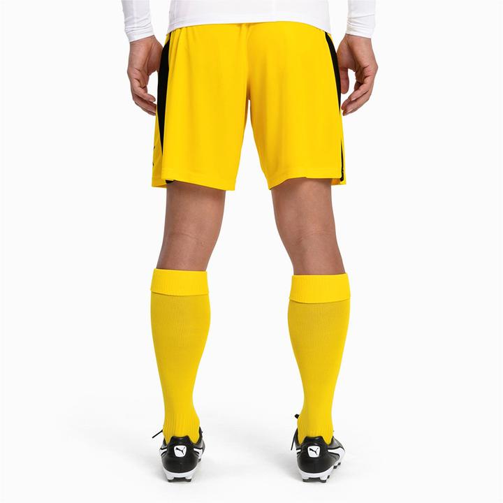 Actual product image Puma Team LIGA Socks CORE-703441 (35, 39)