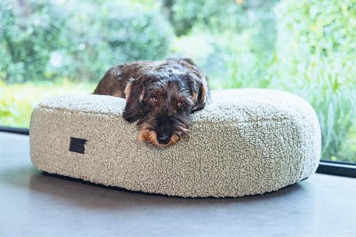 Produktbild Designed by Lotte Ribbed (Hund)