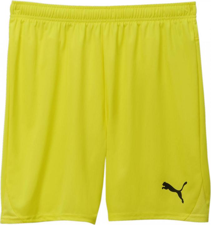 Produktbild Puma teamGOAL Shorts (3XL)