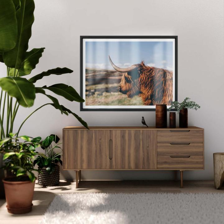 Produktbild Trenddeko Highland Cow 02 (50 x 40 cm)