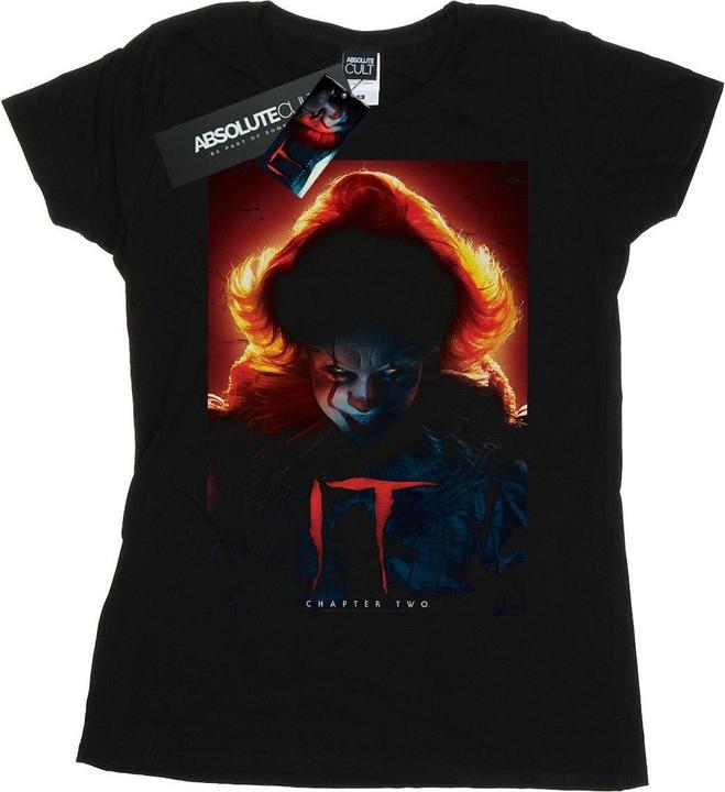 Actual product image Universal Textiles Womens/Ladies Pennywise Poster Cotton T-Shirt (L)