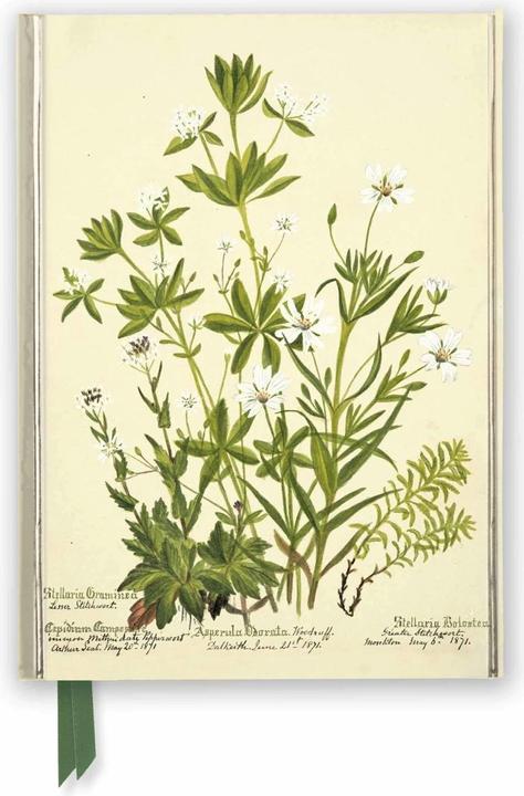 Actual product image RBGE: Charlotte Cowan Pearson: Stitchworts, Woodruff and Pepperwort (Foiled Journal) (A5, Lined)