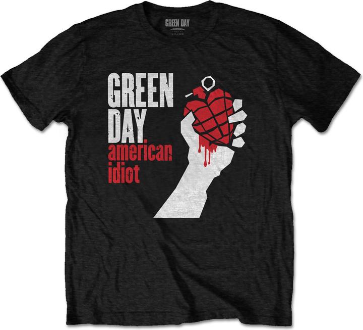 Green Day American Idiot