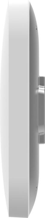 Actual product image Netgear WAX610 (1200 Mbit/s)