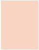 Actual product image Bourjois Healthy Mix (01 Fair)