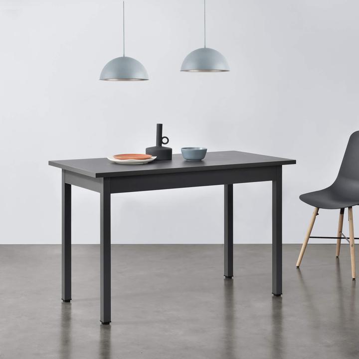 Actual product image En.Casa Vanola (120 x 60 x 75 cm)