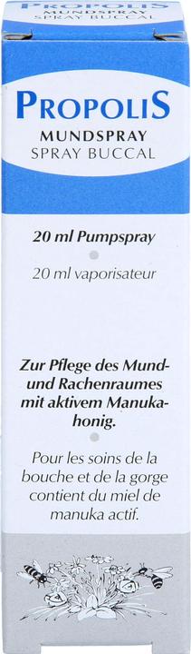 Produktbild Remmele Mundspray mit aktiven Manukahonig (20 ml, Mundspray)