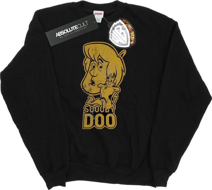 Actual product image Scooby Doo Mens And Shaggy Sweatshirt (L)