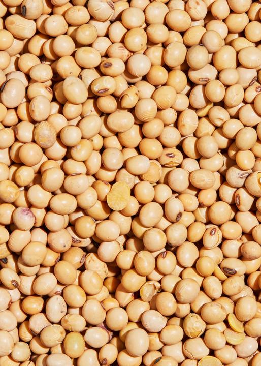 Produktbild KoRo Bio Sojabohnen getrocknet (2000 g)