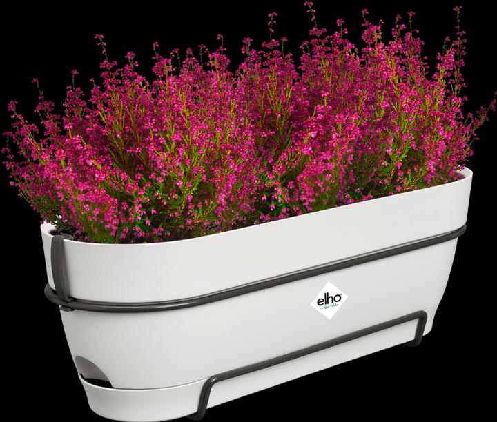 Produktbild Elho Vibia Campana Balkonkasten Allin1 (26 cm)