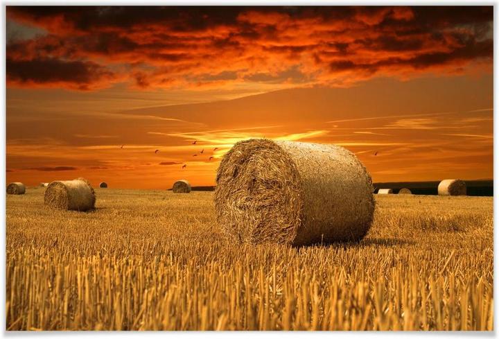 Trenddeko straw bale