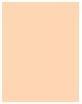 Actual product image Dior Forever (2WP Warm Peach)