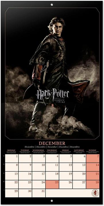 Immagine prodotto Calendario dei film di Harry Potter 30 x 30 / 30 x 60 cm (30 x 30 cm)