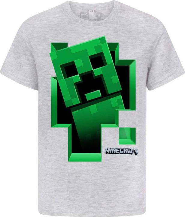 Actual product image Minecraft Inside Tshirt Boys (140)
