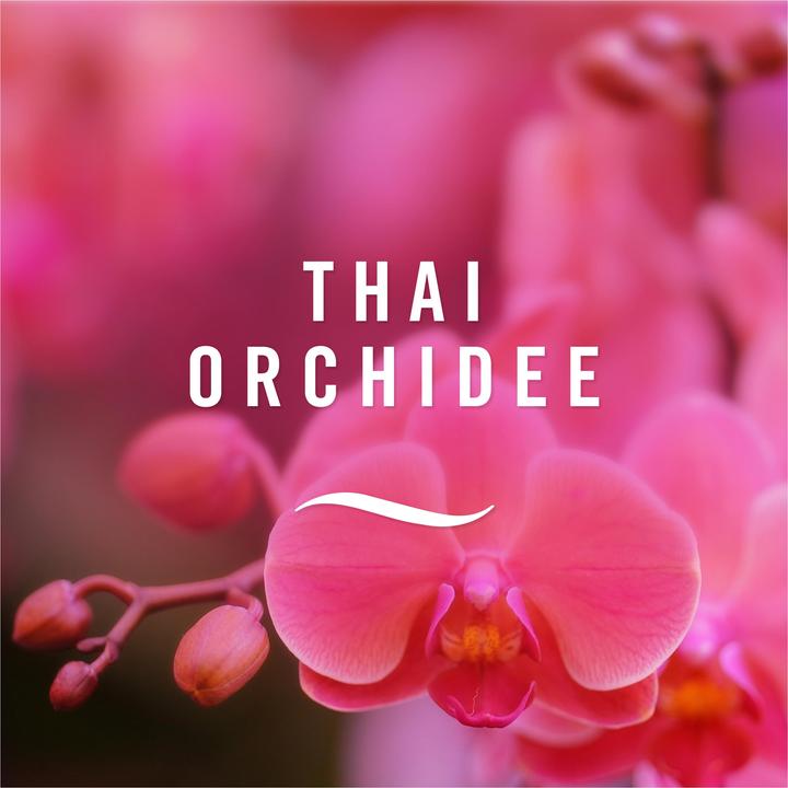 Image du produit Febreze Thaï Orchidée