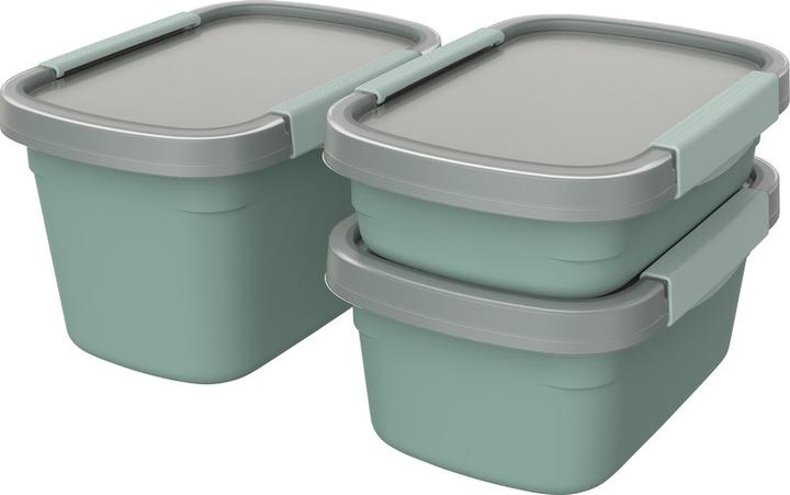 Actual product image Rotho ECO freshness box (1.50 l)