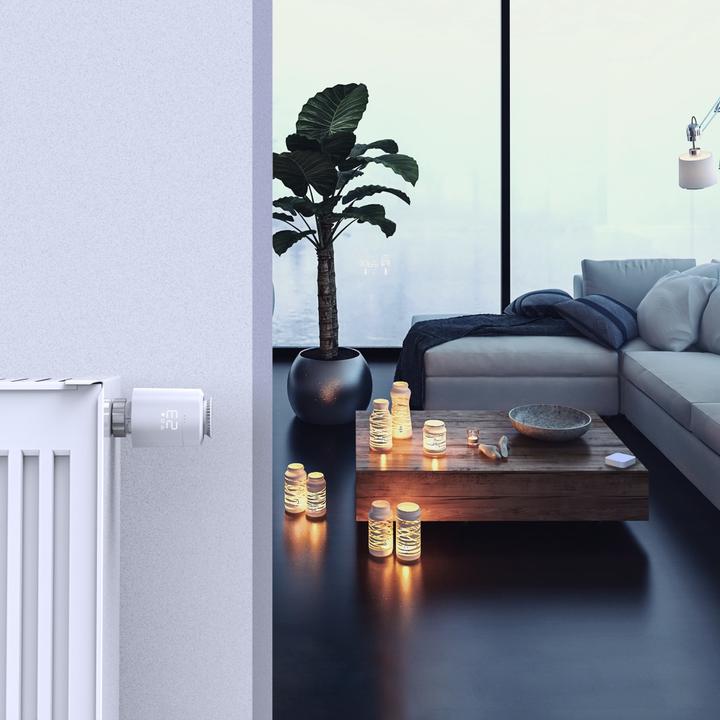 Actual product image Hama Heating Control