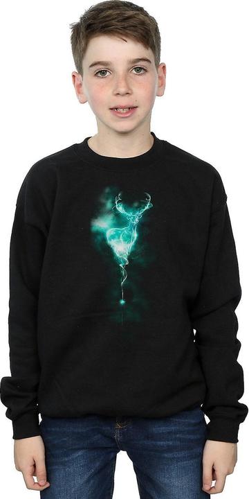 Immagine prodotto Felpa da ragazzo Patronus Mist (152, 158)