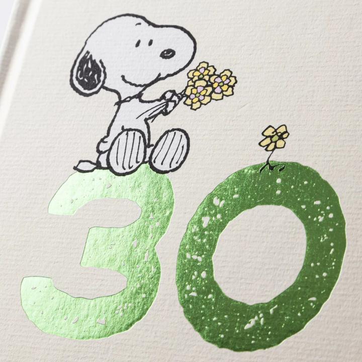 Produktbild Peanuts Geschenkbuch: Happy Birthday zum 30. Geburtstag (Deutsch, Charles M. Schulz, 2024)