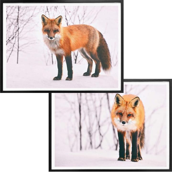 Immagine prodotto Trenddeko Volpe nella neve - 2 pezzi (80 x 60 cm)