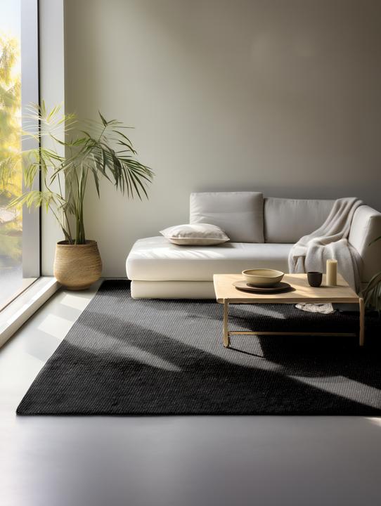 Image du produit Hanse Home Jaipur (90 x 60 cm)