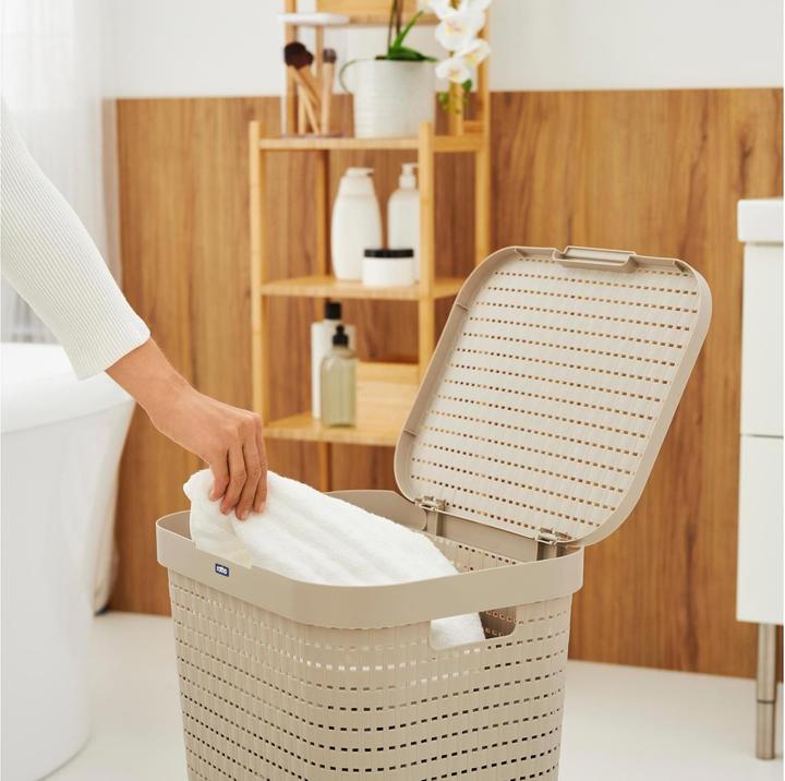 Image du produit Rotho Pays (55 l)