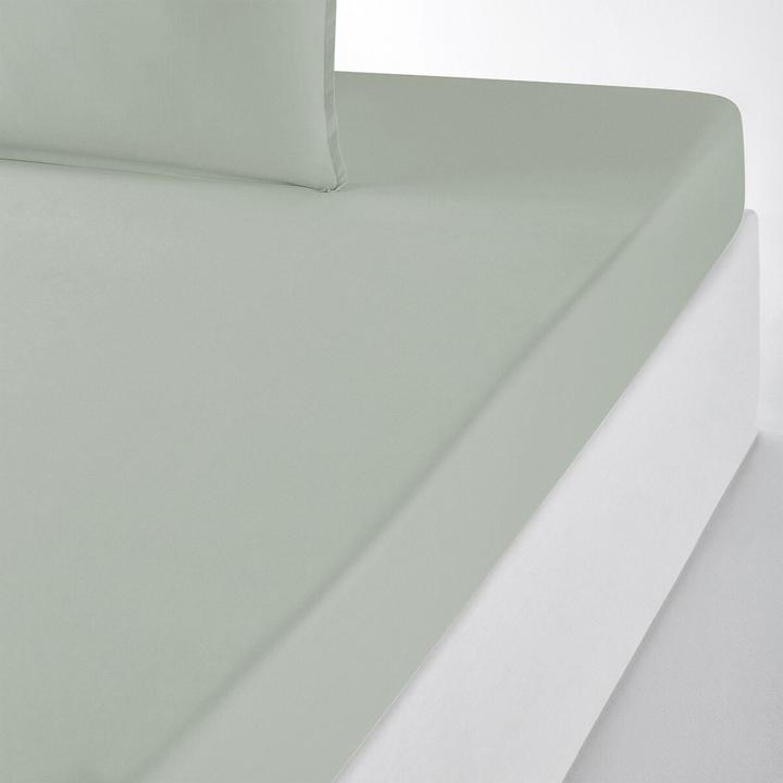 Actual product image La Redoute Interieurs Percale Bio (160 x 200 cm)