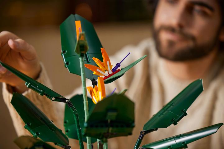 Produktbild LEGO Bird of Paradise (10289, LEGO Seltene Sets)