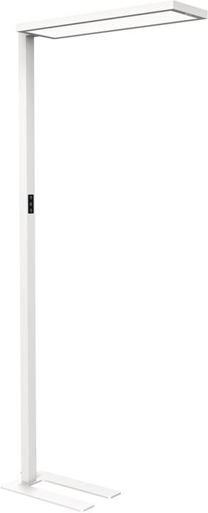 Immagine prodotto Maul Lampada da terra a LED MAULsenja, dimmerabile, sensore di movimento/luce - bianco (15150 lm)